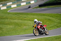 cadwell-no-limits-trackday;cadwell-park;cadwell-park-photographs;cadwell-trackday-photographs;enduro-digital-images;event-digital-images;eventdigitalimages;no-limits-trackdays;peter-wileman-photography;racing-digital-images;trackday-digital-images;trackday-photos